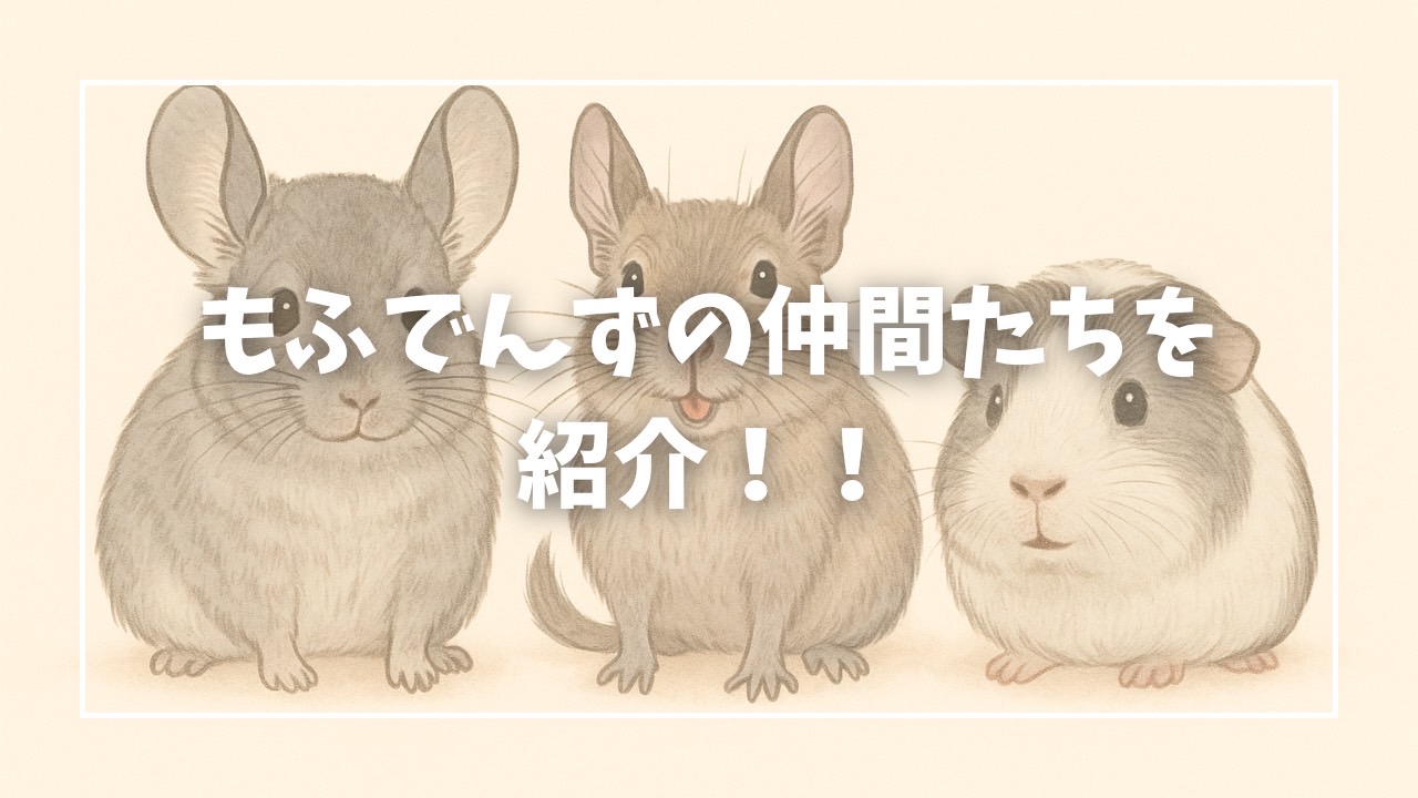 もふでんずの仲間たちを紹介!!